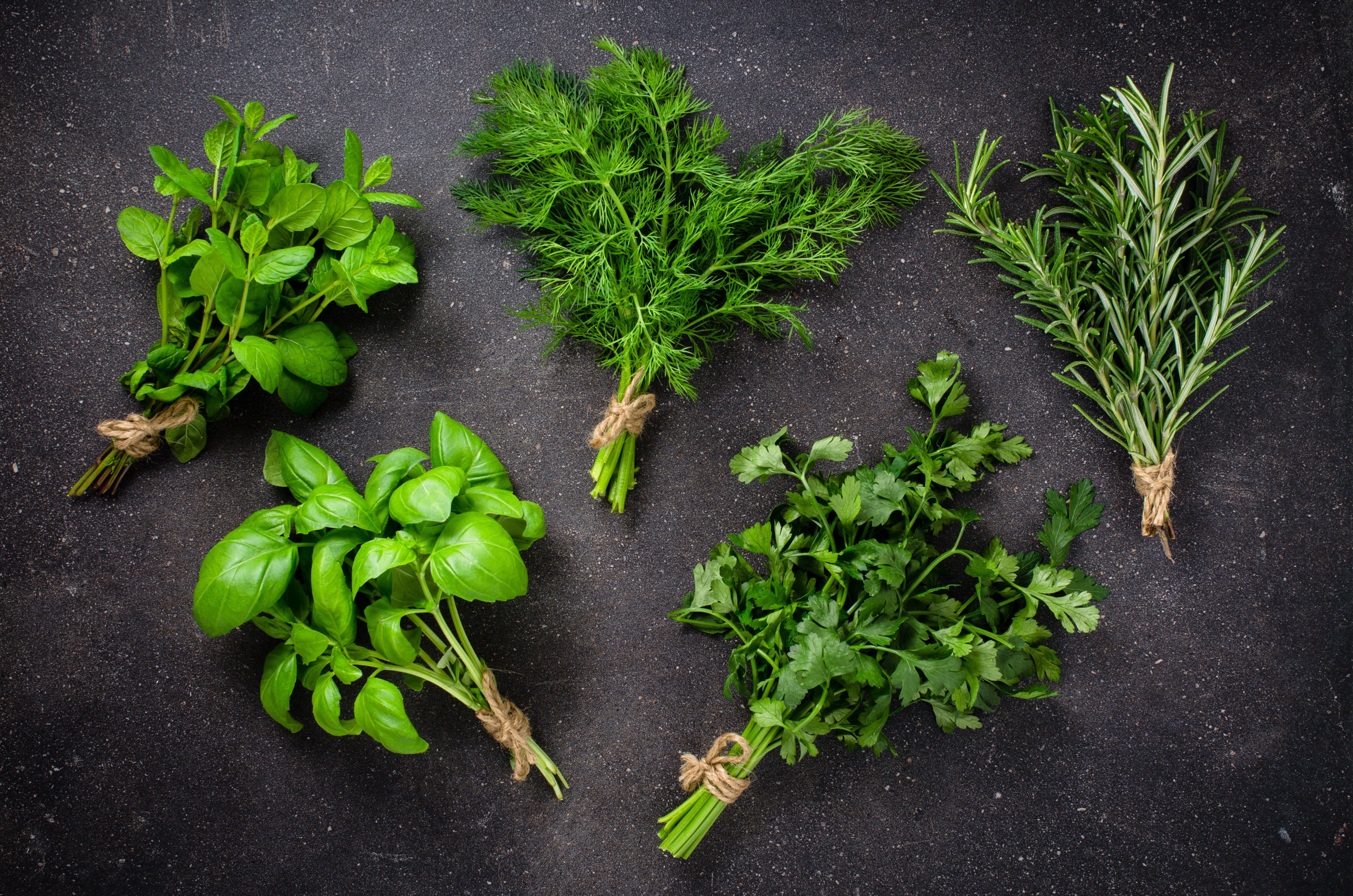 Exploring Taste: How to Introduce Your Baby to the World of Flavors
