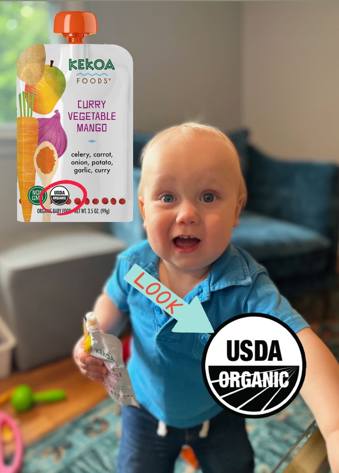 Why Your Baby Deserves the Best: Choosing USDA Organic Baby Food Pouches