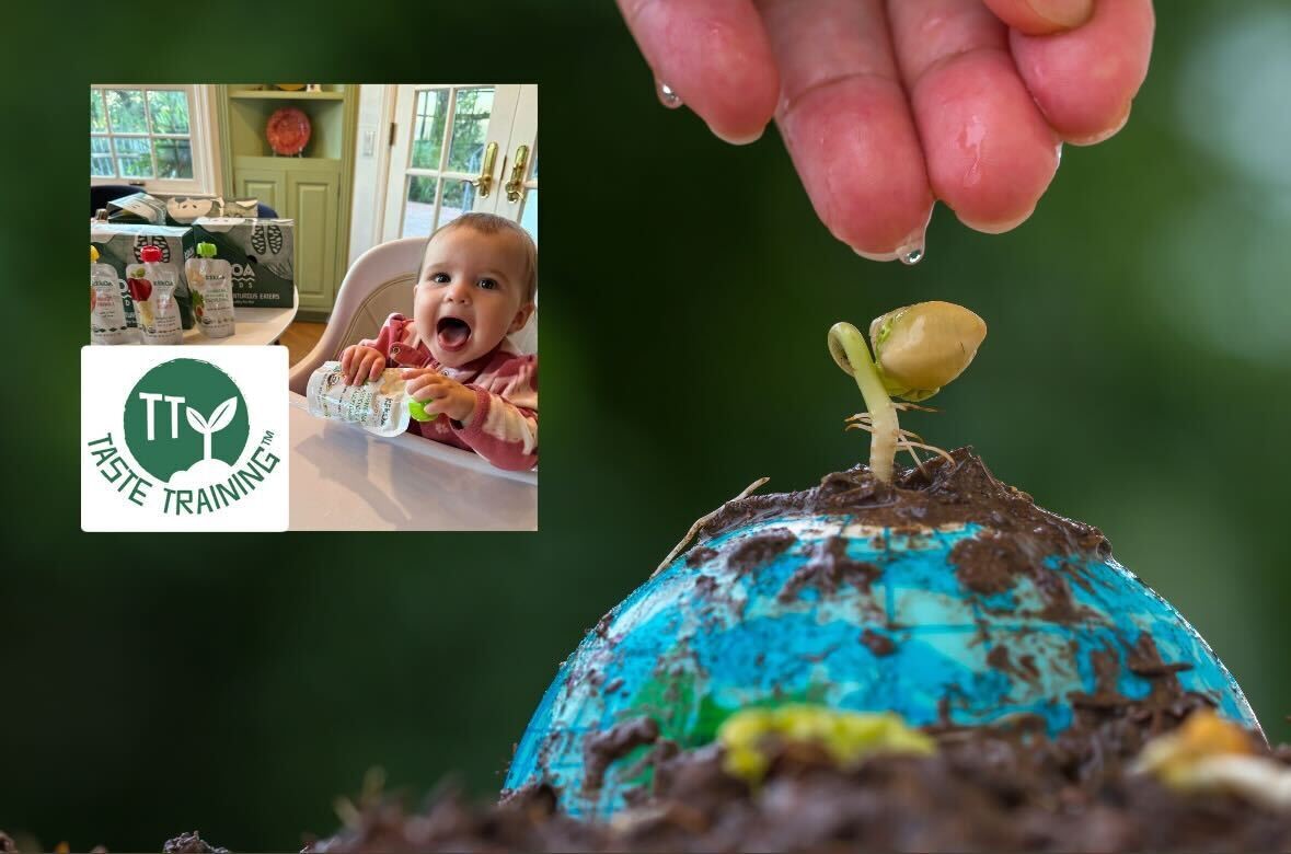 Around the World in 7 Pouches: A Sensory Training Map for Curious Kids
