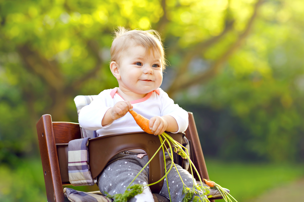 Baby sitting in a highchair holding a fresh carrot.