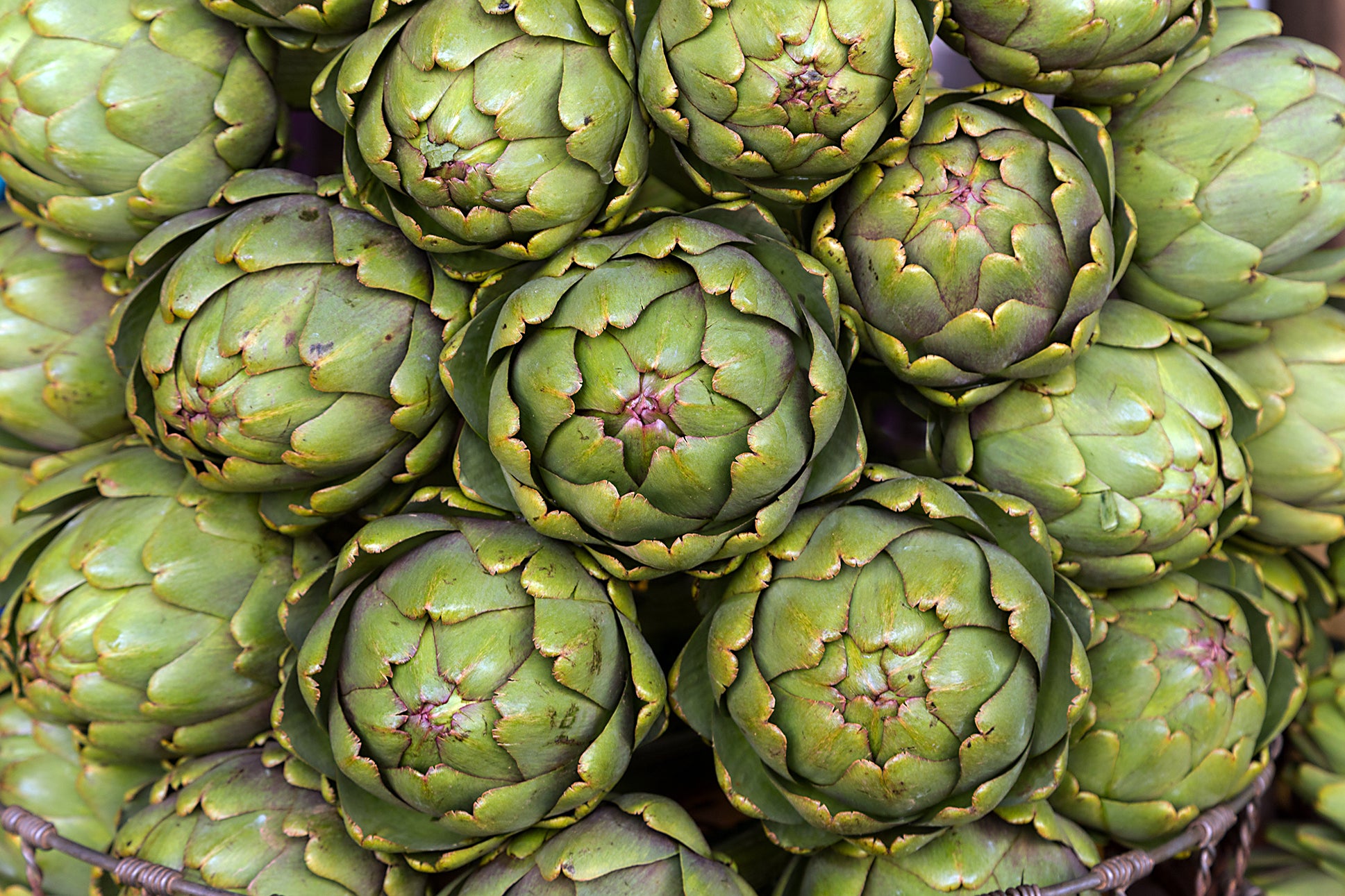 Fresh artichokes used in Kekoa Foods baby pouches.