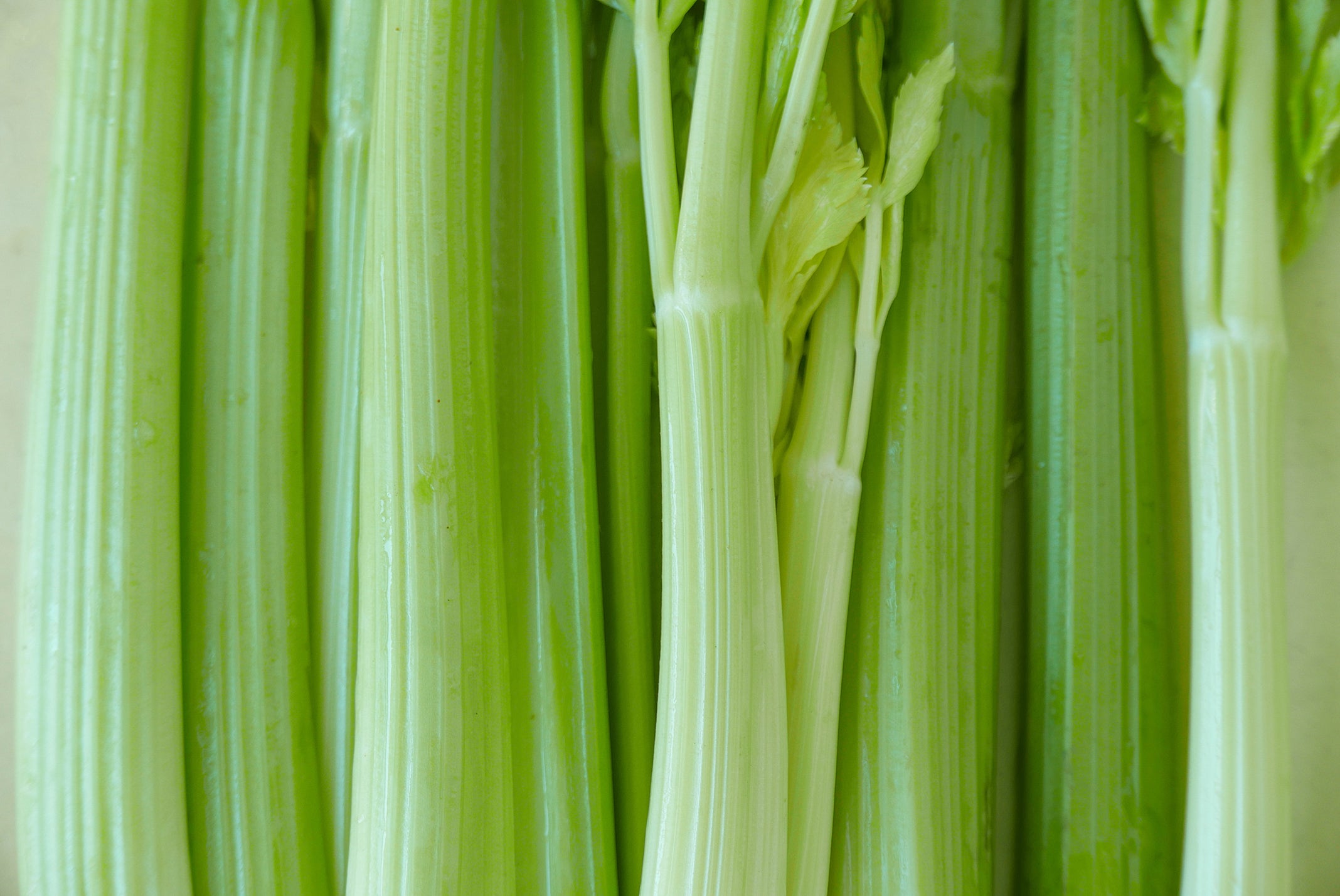 Fresh celery used in Kekoa Foods baby food pouches.