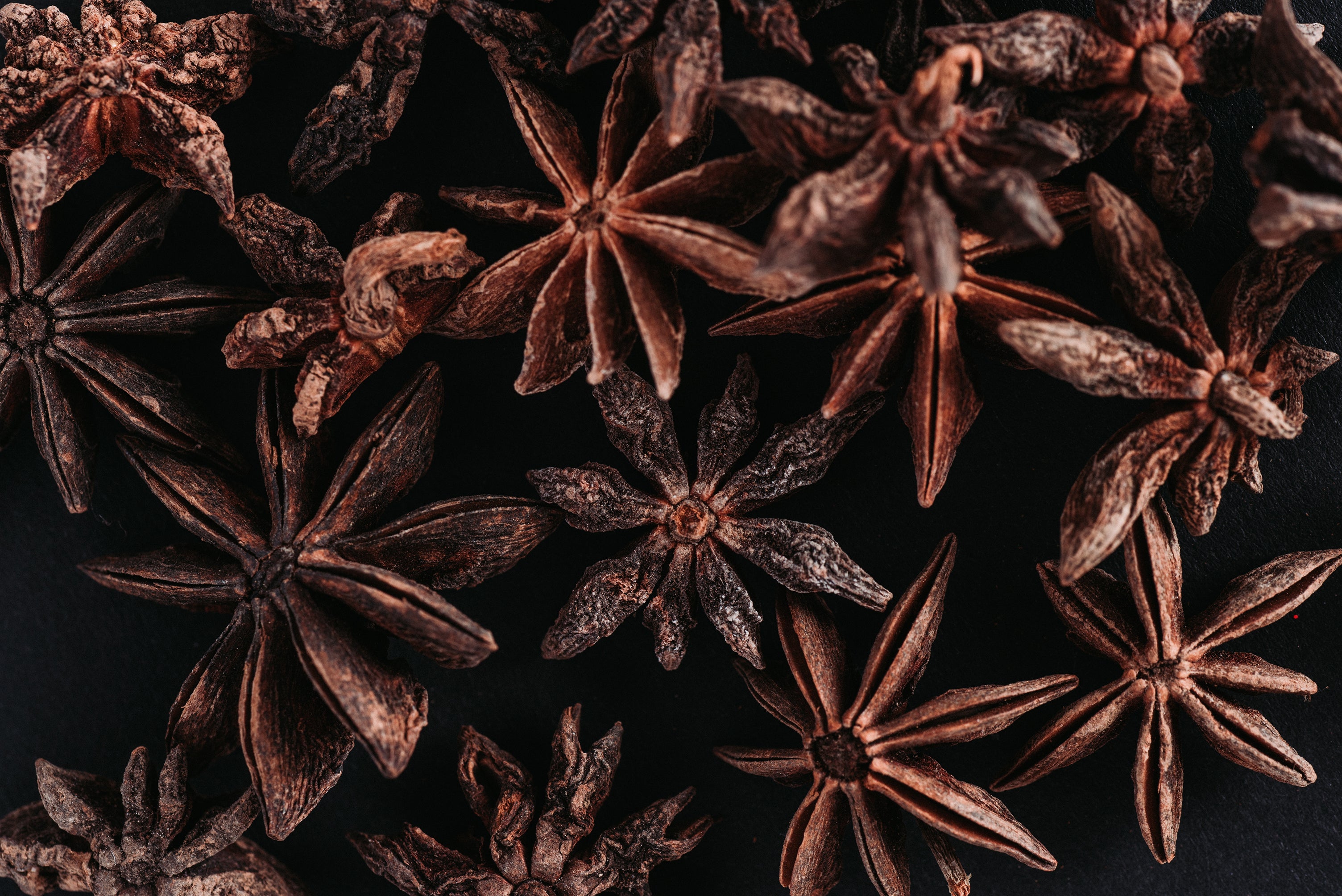 Fresh star anise used in Kekoa Foods baby pouches.