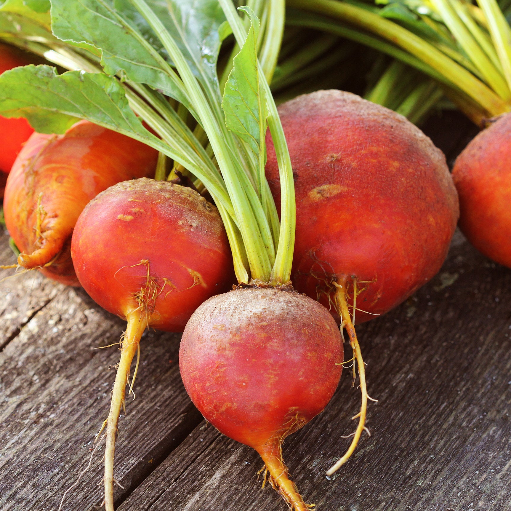 Fresh beets from the garden used in Kekoa Foods vegetable puree.